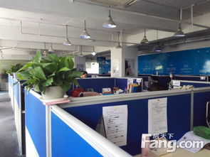 陸家嘴軟件園寫字樓出租 515平米正氣戶型，歡迎來(lái)電看房